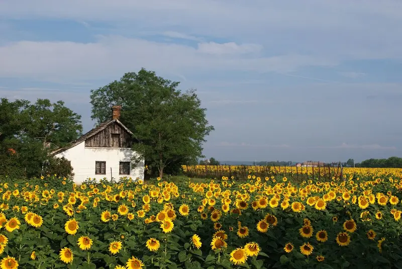 Otthon Start zártkerti ingatlanokra?